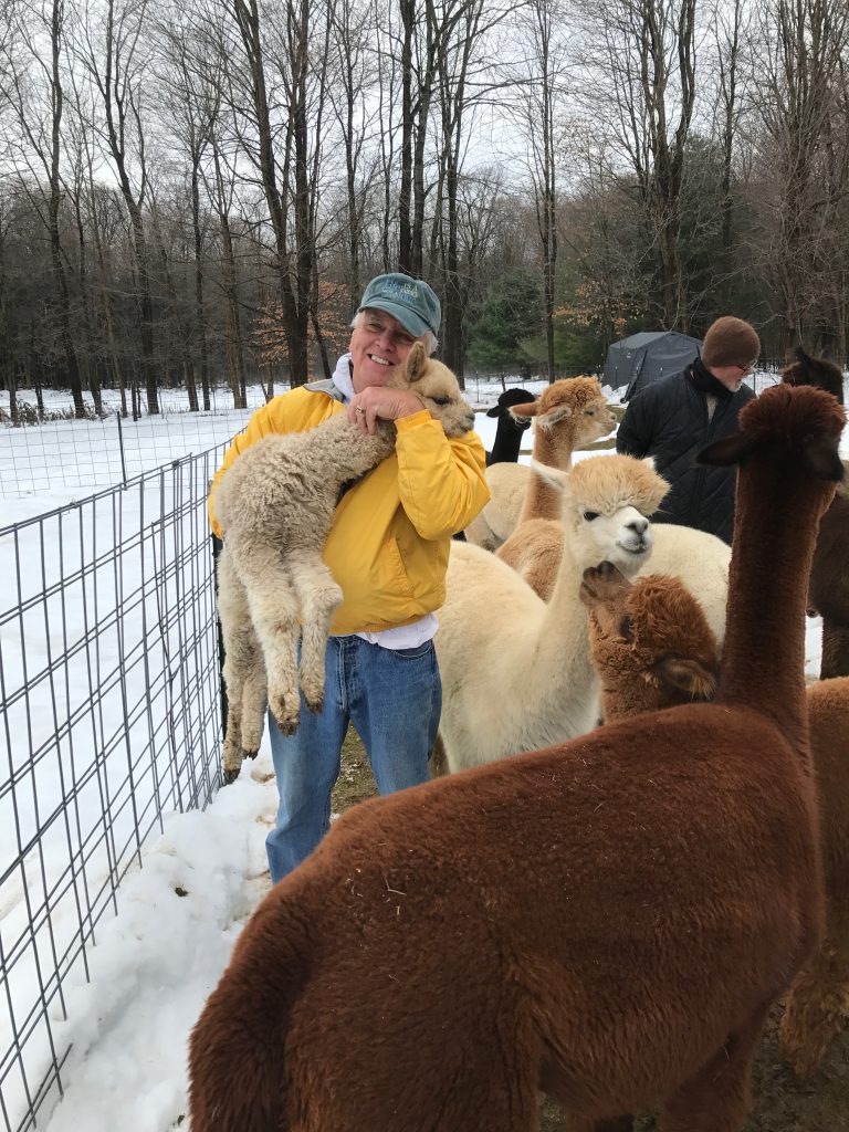 Paul holding an alpaca