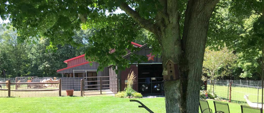 A photo of our farm's main building